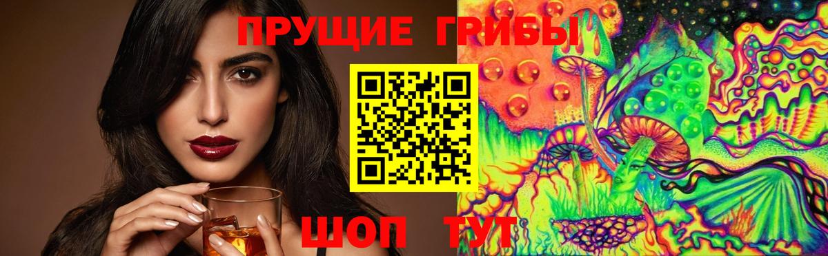 Псилоцибиновые грибы Cubensis Чайковский