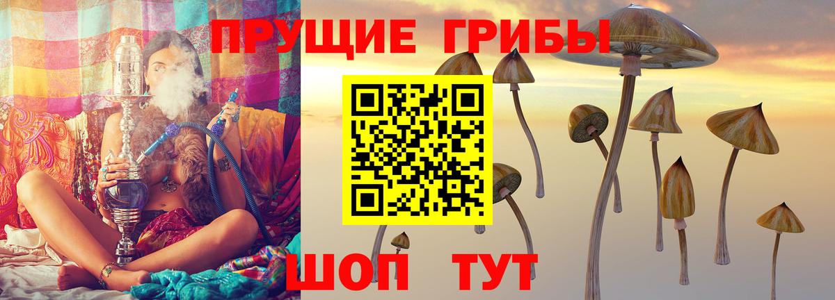 как найти   Вход с VPN  Чайковский  Галлюциногенные грибы GOLDEN TEACHER 